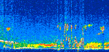 /calipso-imagery/data/BROWSE/production/V5-00/2007-08-19/2007-08-19_17-11-44_V5.00_2_thmb.png image missing