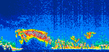 /calipso-imagery/data/BROWSE/production/V5-00/2007-08-23/2007-08-23_00-17-45_V5.00_1_thmb.png image missing