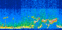 /calipso-imagery/data/BROWSE/production/V5-00/2007-08-23/2007-08-23_01-56-40_V5.00_3_thmb.png image missing