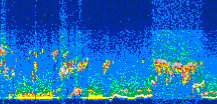 /calipso-imagery/data/BROWSE/production/V5-00/2007-08-23/2007-08-23_03-35-35_V5.00_3_thmb.png image missing