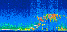 /calipso-imagery/data/BROWSE/production/V5-00/2007-08-23/2007-08-23_05-14-25_V5.00_2_thmb.png image missing