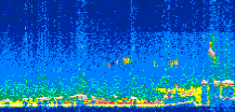 /calipso-imagery/data/BROWSE/production/V5-00/2007-08-23/2007-08-23_10-11-01_V5.00_2_thmb.png image missing
