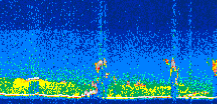 /calipso-imagery/data/BROWSE/production/V5-00/2007-08-23/2007-08-23_10-11-01_V5.00_3_thmb.png image missing