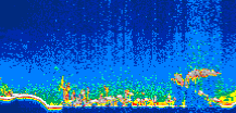 /calipso-imagery/data/BROWSE/production/V5-00/2007-08-23/2007-08-23_11-49-56_V5.00_1_thmb.png image missing