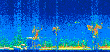 /calipso-imagery/data/BROWSE/production/V5-00/2007-08-26/2007-08-26_02-27-14_V5.00_2_thmb.png image missing