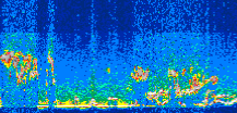 /calipso-imagery/data/BROWSE/production/V5-00/2007-08-26/2007-08-26_02-27-14_V5.00_3_thmb.png image missing