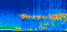 /calipso-imagery/data/BROWSE/production/V5-00/2007-08-26/2007-08-26_05-45-00_V5.00_2_thmb.png image missing