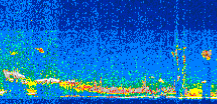 /calipso-imagery/data/BROWSE/production/V5-00/2007-08-26/2007-08-26_17-17-11_V5.00_2_thmb.png image missing