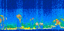/calipso-imagery/data/BROWSE/production/V5-00/2007-08-29/2007-08-29_04-36-44_V5.00_3_thmb.png image missing