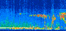/calipso-imagery/data/BROWSE/production/V5-00/2007-08-29/2007-08-29_07-54-29_V5.00_2_thmb.png image missing