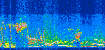/calipso-imagery/data/BROWSE/production/V5-00/2007-08-29/2007-08-29_19-26-36_V5.00_3_thmb.png image missing