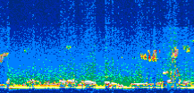/calipso-imagery/data/BROWSE/production/V5-00/2007-08-29/2007-08-29_21-05-31_V5.00_2_thmb.png image missing