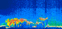 /calipso-imagery/data/BROWSE/production/V5-00/2007-08-31/2007-08-31_02-45-15_V5.00_1_thmb.png image missing