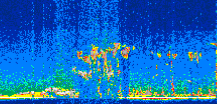 /calipso-imagery/data/BROWSE/production/V5-00/2007-08-31/2007-08-31_02-45-15_V5.00_2_thmb.png image missing