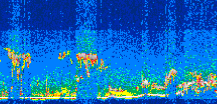 /calipso-imagery/data/BROWSE/production/V5-00/2007-08-31/2007-08-31_04-24-10_V5.00_3_thmb.png image missing