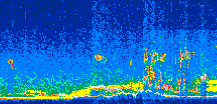 /calipso-imagery/data/BROWSE/production/V5-00/2007-08-31/2007-08-31_10-59-41_V5.00_2_thmb.png image missing