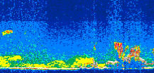 /calipso-imagery/data/BROWSE/production/V5-00/2007-08-31/2007-08-31_10-59-41_V5.00_3_thmb.png image missing