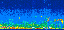 /calipso-imagery/data/BROWSE/production/V5-00/2007-08-31/2007-08-31_15-56-16_V5.00_3_thmb.png image missing
