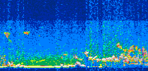 /calipso-imagery/data/BROWSE/production/V5-00/2007-08-31/2007-08-31_20-52-57_V5.00_3_thmb.png image missing