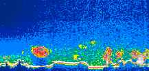 /calipso-imagery/data/BROWSE/production/V5-00/2007-10-29/2007-10-29_00-40-44_V5.00_1_thmb.png image missing