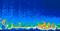 /calipso-imagery/data/BROWSE/production/V5-00/2007-10-29/2007-10-29_02-19-39_V5.00_4_thmb.png image missing