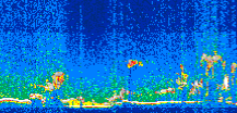 /calipso-imagery/data/BROWSE/production/V5-00/2007-10-29/2007-10-29_12-12-55_V5.00_2_thmb.png image missing