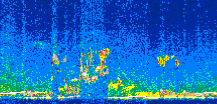 /calipso-imagery/data/BROWSE/production/V5-00/2007-10-29/2007-10-29_13-51-45_V5.00_3_thmb.png image missing