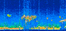/calipso-imagery/data/BROWSE/production/V5-00/2007-10-29/2007-10-29_23-45-02_V5.00_3_thmb.png image missing