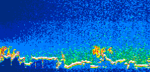 /calipso-imagery/data/BROWSE/production/V5-00/2008-01-04/2008-01-04_02-47-43_V5.00_1_thmb.png image missing