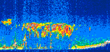 /calipso-imagery/data/BROWSE/production/V5-00/2008-01-04/2008-01-04_06-05-33_V5.00_3_thmb.png image missing