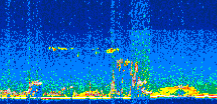 /calipso-imagery/data/BROWSE/production/V5-00/2008-01-04/2008-01-04_07-44-23_V5.00_3_thmb.png image missing