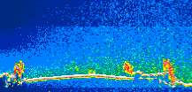 /calipso-imagery/data/BROWSE/production/V5-00/2008-01-04/2008-01-04_15-58-50_V5.00_1_thmb.png image missing