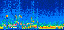 /calipso-imagery/data/BROWSE/production/V5-00/2008-01-04/2008-01-04_15-58-50_V5.00_3_thmb.png image missing