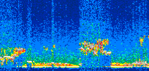 /calipso-imagery/data/BROWSE/production/V5-00/2008-01-09/2008-01-09_01-27-38_V5.00_2_thmb.png image missing