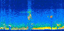 /calipso-imagery/data/BROWSE/production/V5-00/2008-01-09/2008-01-09_08-03-14_V5.00_3_thmb.png image missing