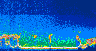 /calipso-imagery/data/BROWSE/production/V5-00/2008-01-09/2008-01-09_08-03-14_V5.00_4_thmb.png image missing