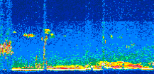 /calipso-imagery/data/BROWSE/production/V5-00/2008-01-09/2008-01-09_09-42-04_V5.00_3_thmb.png image missing