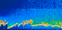 /calipso-imagery/data/BROWSE/production/V5-00/2008-01-09/2008-01-09_11-21-00_V5.00_1_thmb.png image missing