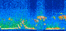 /calipso-imagery/data/BROWSE/production/V5-00/2008-01-29/2008-01-29_01-04-21_V5.00_2_thmb.png image missing