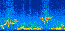 /calipso-imagery/data/BROWSE/production/V5-00/2008-01-29/2008-01-29_02-43-11_V5.00_2_thmb.png image missing