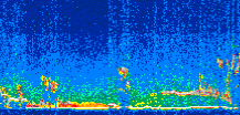/calipso-imagery/data/BROWSE/production/V5-00/2008-01-29/2008-01-29_04-22-06_V5.00_2_thmb.png image missing
