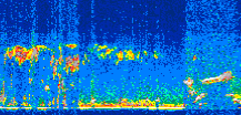 /calipso-imagery/data/BROWSE/production/V5-00/2008-01-29/2008-01-29_04-22-06_V5.00_3_thmb.png image missing