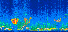/calipso-imagery/data/BROWSE/production/V5-00/2008-01-29/2008-01-29_07-39-52_V5.00_2_thmb.png image missing