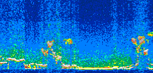 /calipso-imagery/data/BROWSE/production/V5-00/2008-01-29/2008-01-29_12-36-32_V5.00_2_thmb.png image missing