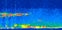 /calipso-imagery/data/BROWSE/production/V5-00/2008-01-29/2008-01-29_12-36-32_V5.00_3_thmb.png image missing