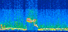 /calipso-imagery/data/BROWSE/production/V5-00/2008-01-29/2008-01-29_14-15-28_V5.00_2_thmb.png image missing