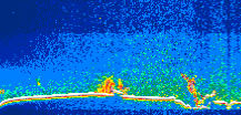 /calipso-imagery/data/BROWSE/production/V5-00/2008-01-29/2008-01-29_15-54-18_V5.00_1_thmb.png image missing