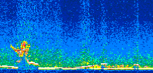 /calipso-imagery/data/BROWSE/production/V5-00/2008-01-29/2008-01-29_19-12-08_V5.00_2_thmb.png image missing