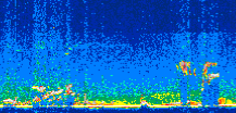 /calipso-imagery/data/BROWSE/production/V5-00/2008-01-29/2008-01-29_19-12-08_V5.00_3_thmb.png image missing