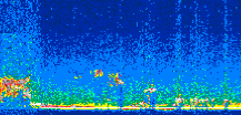 /calipso-imagery/data/BROWSE/production/V5-00/2008-01-29/2008-01-29_20-50-59_V5.00_2_thmb.png image missing